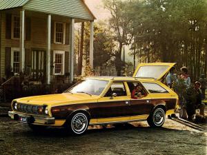 1975 AMC Hornet 4-Door Station Wagon Sportabout D/L Pkg.